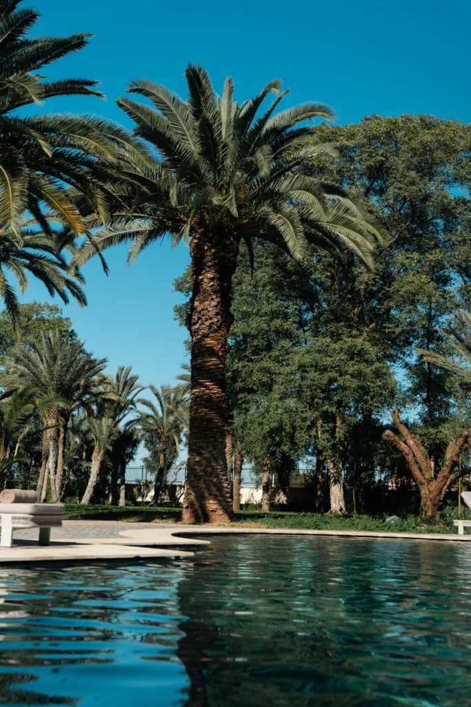 Piscine extérieure et palmiers du domaine Amanaya Marrakech – jardins de 1,8 hectare